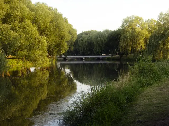 A calm bend of the Svislach between willows and tall grass, with a footbridge in the distance